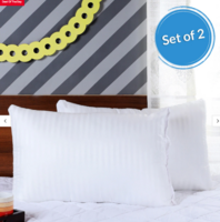 Esper Microfiber 24 x 16 Inch Pillows (Set of 2)