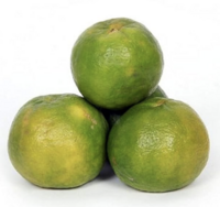 Fresh Orange Nagpur Small 1kg @Rs 2 [location specific]