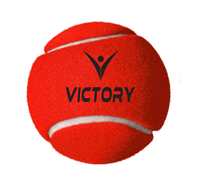 Victory Cricket Tennis Balls High Bounce Street Match Cricket Tournament Cricket Tennis Ball (Heavy Ball, 1)