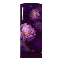Whirlpool IMPRO 192 Litres 3 Star Direct Cool Single Door Refrigerator with Stabilizer Free Operation (215 IMPRO ROY, Purple)