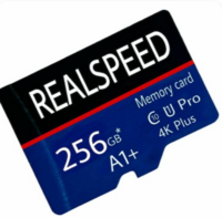 REALSPEED EVO Plus 256GB, 130MB/s Full HD & 4K UHD Class 10, Memory Card