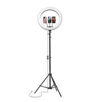 Amazon Basics LED Ring Light at Just Rs.899