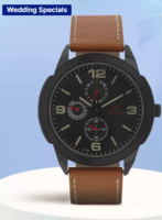 Titan  Purple Analog Watch - For Men NH1585NL01