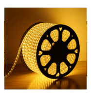 Desidiya Led Rope Light 5 m  warm white