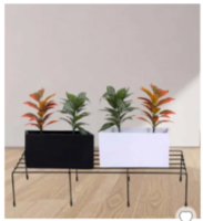 What The Fry Deals - Up to 78% Off on Metal Plant Stand, Fruit Slicer, Cushion & More 