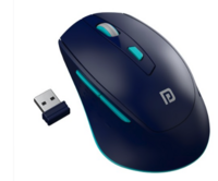 Portronics Toad 32 Wireless Optical Mouse With 6 Button Design Adjustable DPI Upto 1600