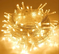 Homesake® 36 Feet Long 40 LED Power Pixel Serial String/Fairy Light