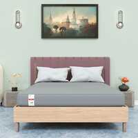 SPYDER CRAFT - Premium High Density Foam Mattress  | 10- Year Warranty | 4-Inch Bed Mattress (Single Bed Size Mattress) 