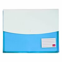 SAYA Document Organizer Bag | Waterproof Portfolio Case Double Pocket Clear Bag Expandable (Random Color) Pack of 6