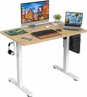 Sunon Electric Standing Desk Adjustable Height Sit Stand Home Office Desk with Splice Board