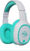 ZEBRONICS Zeb-Thunder (Sea Green) Bluetooth on Flipkart