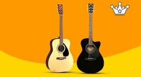 Musical Instruments order and Get 5% back Up to ₹500 Min order: ₹999