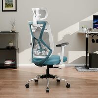 Green Soul, Zodiac Superb, Ergonomic Mesh Office Chair, Adjustable Armrests, Multi-Tilt Lock Mechanism  (White & Teal)