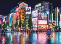 New Delhi to Tokyo Flight (16 may, one way)