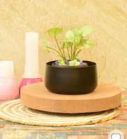 Pepperfry What The Fry Deals : Upto 93% Off on Knife Set, Desk Pot & more starting from ₹109