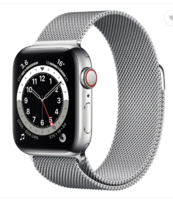 Apple Watch Series 6 GPS + Cellular  (Silver Strap, Regular)