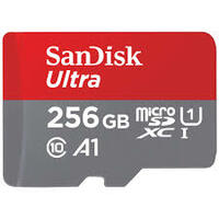Sandisk Ultra 256Gb Memory Card (Ahmedabad) - 382350 