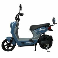 Green Sunny Electric Scooter for Adult’s Commuter with Rechargeable Battery, No RTO Registration or DL Required, (40Km, Blue)