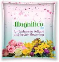 Divine Tree Magnifico Gardening Plant Food for Lush Green Foliage and Better Flowering Plant Fertilizer, Manure (0.15 kg, Powder)