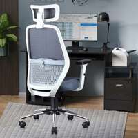 ASTRIDE Octave Ergonomic Office Chair for Home | 3-Years Warranty