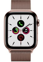 Apple Watch Series 5 GPS + Cellular (Gold Strap, Regular)