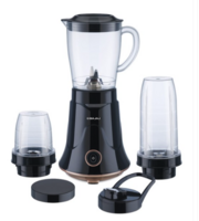 Bajaj Black 3PCs Mixer Grinder, Blender, Juicer & Smoothie Maker-300W