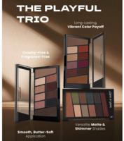 Wet n Wild Set Of 3 10 Eyeshadow - 30 g-Stop Playing Safe - Comfort Zone - Rose In The Air