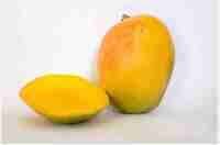 Kesar Mango 1Pc - Flipkart Minutes
