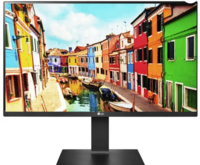 LG 24 inch (60.45 cm) QHD (2K) 2560 x 1440 Pixels, IPS-sRGB 99%