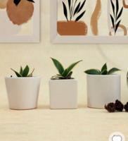 Pepperfry What The Fry Deals : Upto 82% Off on Sensor Light, Ceramic Pot & more 