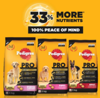 Free dog food sample by pedigree 