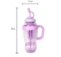 Fruit Infuser Detox Sipper Bottle, 1300ml