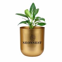 Neonnest® 4.3 inches Round Metal Planter for Home Decor, Pack of 1 (Golden)