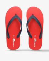 Men Flip Flops & Slippers from ₹60