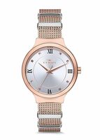 Ferro Aversa Analog Round Dial Women's Watch with Dual Tone mesh Strap