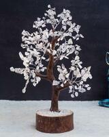 Upto 70% off on Fengshui