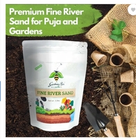Gardening Bee Fine Natural River Sand (Baalu), Organic Ganga Sand for Pooja, Plants, Garden Soil  (5 kg, Granules)