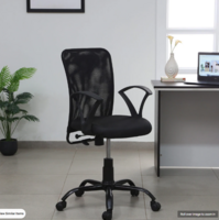 Style Breathable Mesh Ergonomic Chair in Black Colour