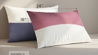 (OVER NOW)Raymond Home Microfibre Solid Sleeping Pillow Pack of 2  (Multicolor)