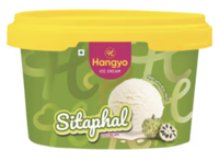 HANGYO Sitaphal Tub, Pista Kesar Kulfi [location speciifc]