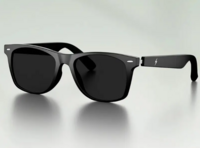 (Sale is Live!) Fire-Boltt Fire-Lens Dune Smart Glasses