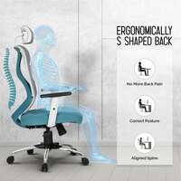 Da URBAN® Merlion Office Chair,High Back Mesh Ergonomic Home Office Desk Chair with 3 Years Warranty, Adjustable Armrests,Adjustable Lumbar Support,Tilt Lock Mechanism (Blue)