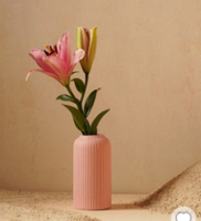 Pepperfry What The Fry Deals : Upto 80% Off on Led Tube, Ceramic Bowl & more starting from ₹99