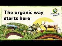 Get Rs. 250 cashback on Rs. 500 Recharge via Referral Code (for milk and milk products and vegitables)