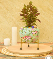 Pepperfry What The Fry Deals : Upto 83% Off on Desk Pot, Waterproof LED & more starting from ₹99