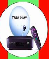 TataPlay Jingalala Wednesday Afternoon offer - English Knowledge & Lifestyle packs for Re.1 (30 days) 