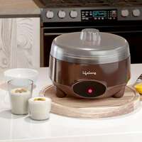 Lifelong Yogurt & Curd Maker for Home with Auto Temperature Regulation(1 Lit)