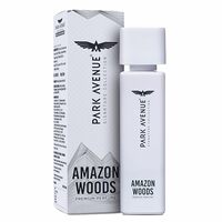 Park Avenue Voyage Signature Collection | Perfume for Men | Fresh Long-lasting Aroma Amazon Woods Premium Perfume | 120ml