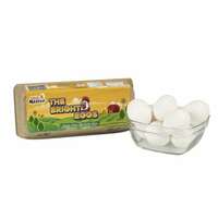 Egg Master The Bright Egg - 1 pack (10 pcs)