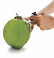 Signoraware Stainless Steel Coconut Opener (Drill Cutter with Cleaner Stick, Multicolor) 